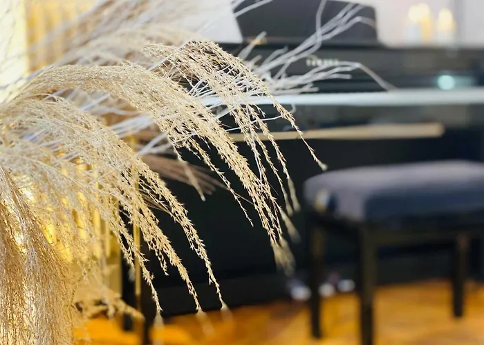 L'empereur - Parking - Fibre - Netflix *